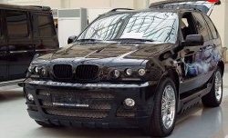 21 499 р. Передний бампер Тарантул BMW X5 E53 дорестайлинг (1999-2003) (Неокрашенный). Увеличить фотографию 2