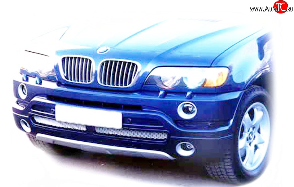 119 р. Накладка AS Concept на передний бампер BMW X5 E53 дорестайлинг (1999-2003) (Неокрашенная)