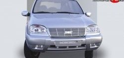 499 р. Накладки на зеркала Кураж 2 до 2005 года  Chevrolet Niva  2123 (2002-2008), Лада 2123 (Нива Шевроле) (2002-2008) (Неокрашенные). Увеличить фотографию 1