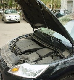 2 249 р. Упор капота Sport Ford Focus 2 хэтчбэк 3 дв. рестайлинг (2007-2011) (Без кронштейна). Увеличить фотографию 1