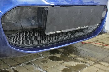 Защитная сетка радиатора в бампер Стрелка 11 Стандарт (алюминий/пластик, 2.0i /2.0d/3.0d, AT, Base) BMW X3 G01 дорестайлинг (2017-2021)  (Цвет: черный)