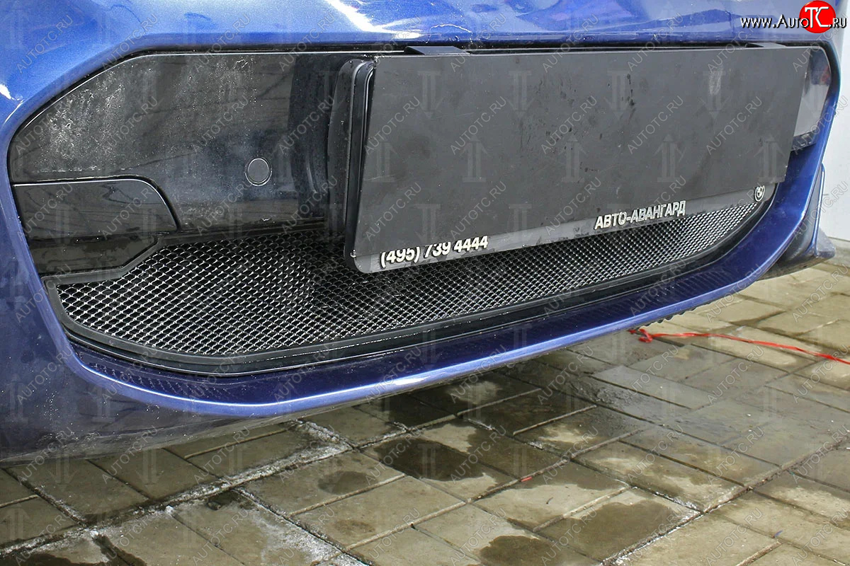 3 099 р. Защитная сетка радиатора в бампер Стрелка 11 Стандарт (алюминий/пластик, 2.0i /2.0d/3.0d, AT, Base) BMW X3 G01 дорестайлинг (2017-2021) (Цвет: черный)