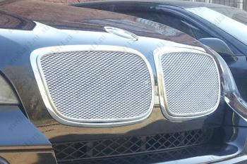 6 649 р. Защитная сетка решетки радиатора AUTOLEADER Премиум BMW X6 E71 дорестайлинг (2008-2012) (Хром). Увеличить фотографию 1