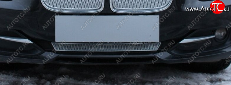 3 799 р. Защитная сетка радиатора в бампер Стрелка 11 Премиум (алюминий)  BMW 3 серия ( F30,  F31) (2012-2015) (Цвет: хром)