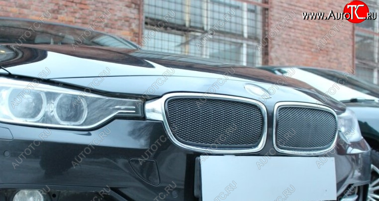 6 549 р. Защитная сетка решетки радиатора Стрелка 11 Премиум (алюминий) BMW 3 серия F30 седан дорестайлинг (2012-2015) (Цвет: черный)