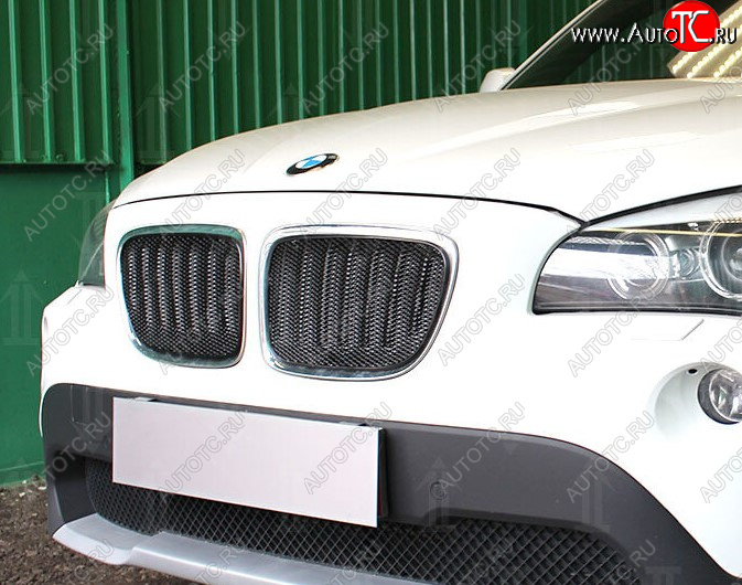 5 999 р. Защитная сетка решетки радиатора Стрелка 11 Премиум (алюминий) BMW X1 E84 (2009-2015) (Цвет: черный)