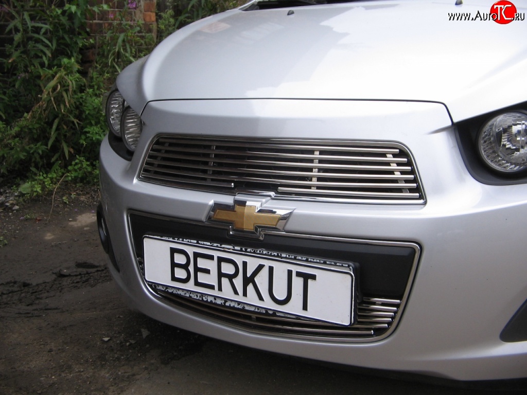 4 399 р. Декоративная вставка решетки радиатора Berkut  Chevrolet Aveo  T300 (2011-2015)