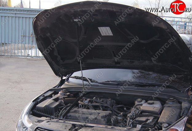 3 299 р. Газовый упор капота Tuning-Sport  Chevrolet Cruze ( седан,  хэтчбек) (2009-2015)
