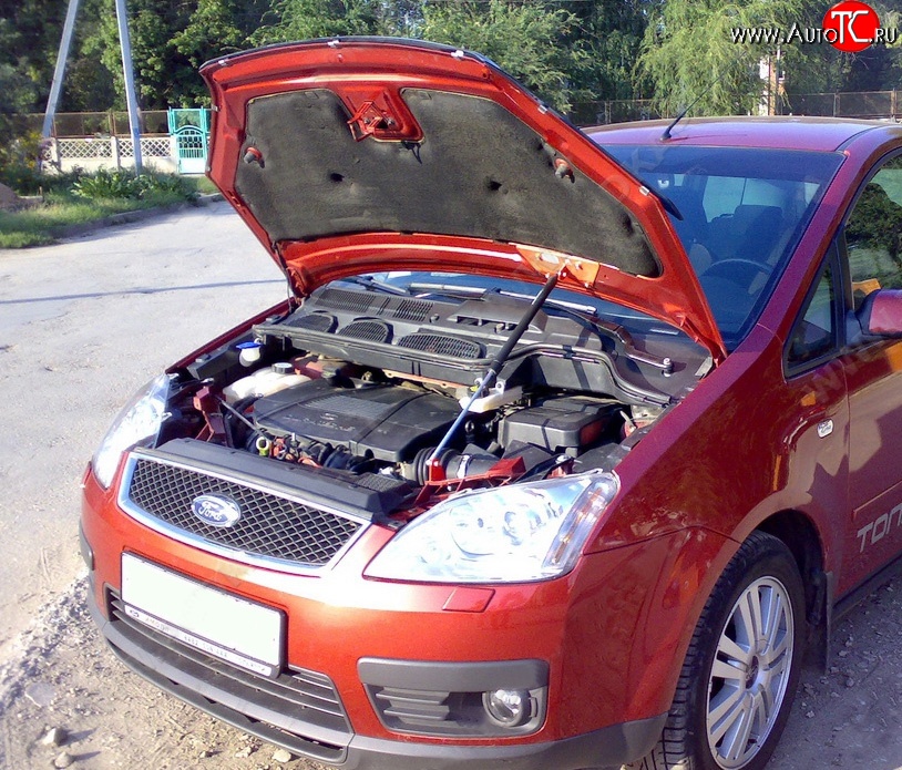 2 969 р. Упор капота Sport Ford C-max Mk1 рестайлинг (2007-2010)