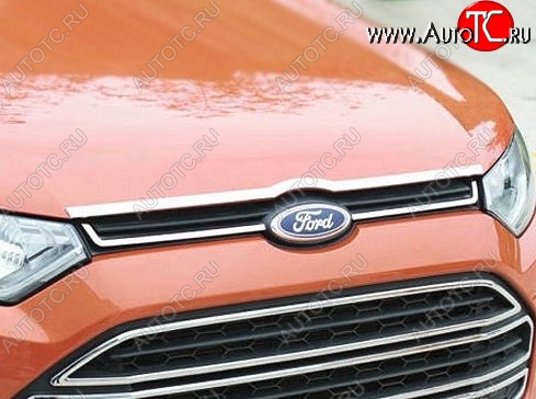 3 799 р. Накладка на капот СТ  Ford EcoSport (2013-2019)