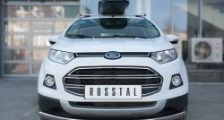 15 649 р. Защита переднего бампера (Ø75х42 мм, нержавейка) Russtal  Ford EcoSport (2013-2019). Увеличить фотографию 1