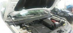 2 199 р. Газовые упоры капота (рестайлинг) Berkut  Ford Edge  1 (2006-2010). Увеличить фотографию 1