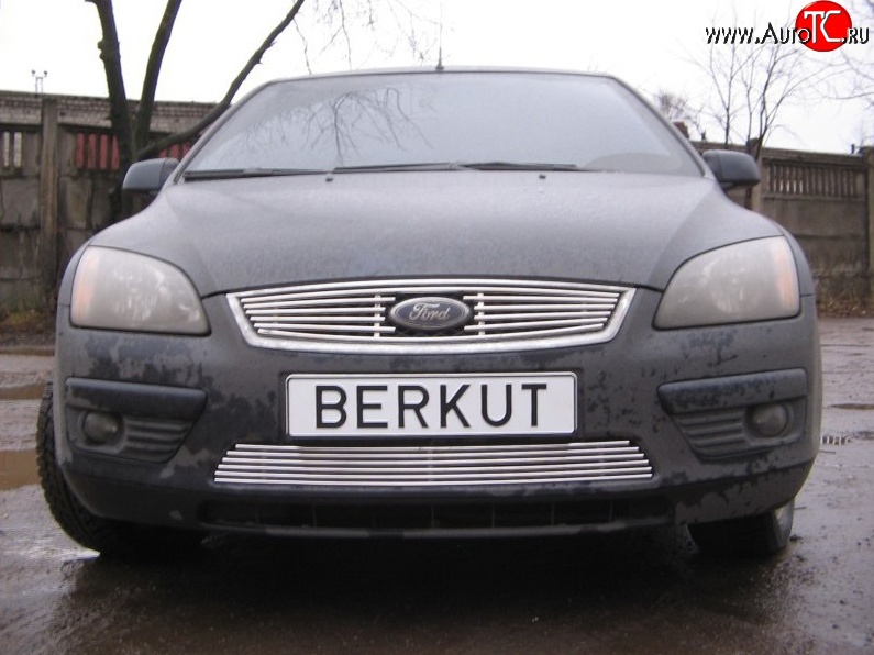 4 999 р. Декоративная вставка решетки радиатора Berkut  Ford Focus  2 (2004-2008)