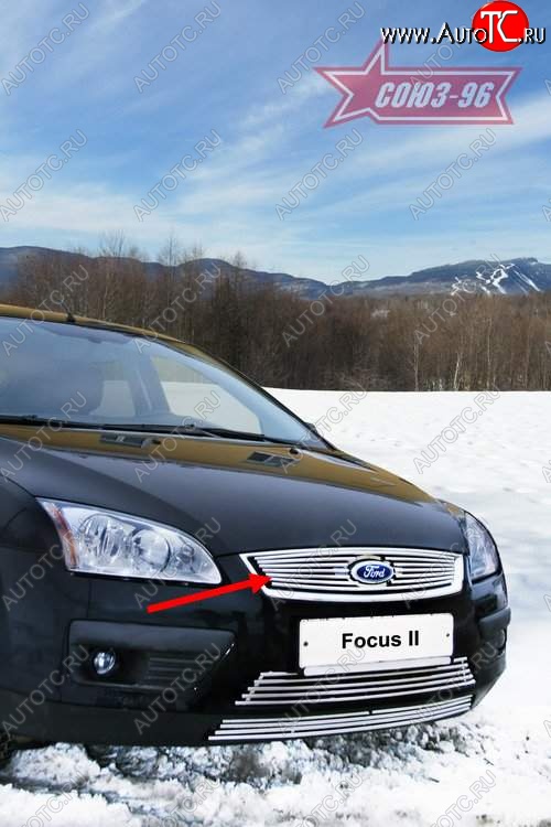3 824 р. Декоративный элемент решетки радиатора Souz-96 (d10) Ford Focus 2 универсал дорестайлинг (2004-2008)