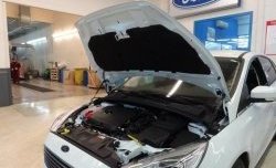 2 199 р. Газовые упоры капота Berkut Ford Focus 3 седан дорестайлинг (2011-2015). Увеличить фотографию 1