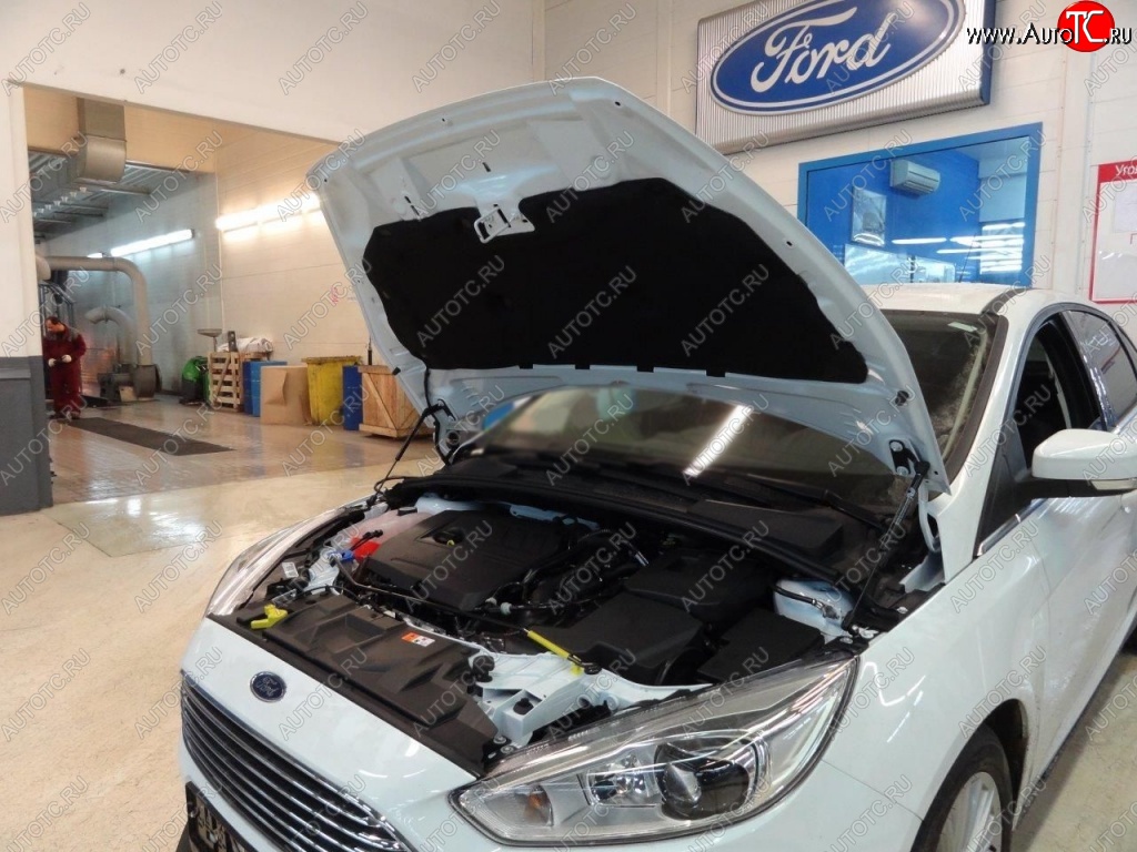 2 199 р. Газовые упоры капота Berkut Ford Focus 3 седан дорестайлинг (2011-2015)