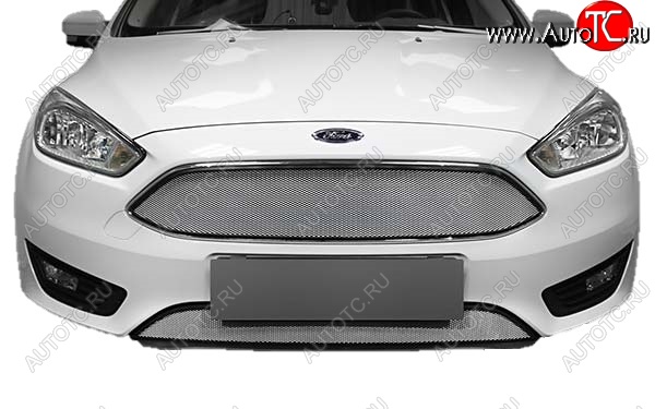 1 479 р. Защитная сетка радиатора Russtal  Ford Focus  3 (2014-2019) (Верхняя чёрная)