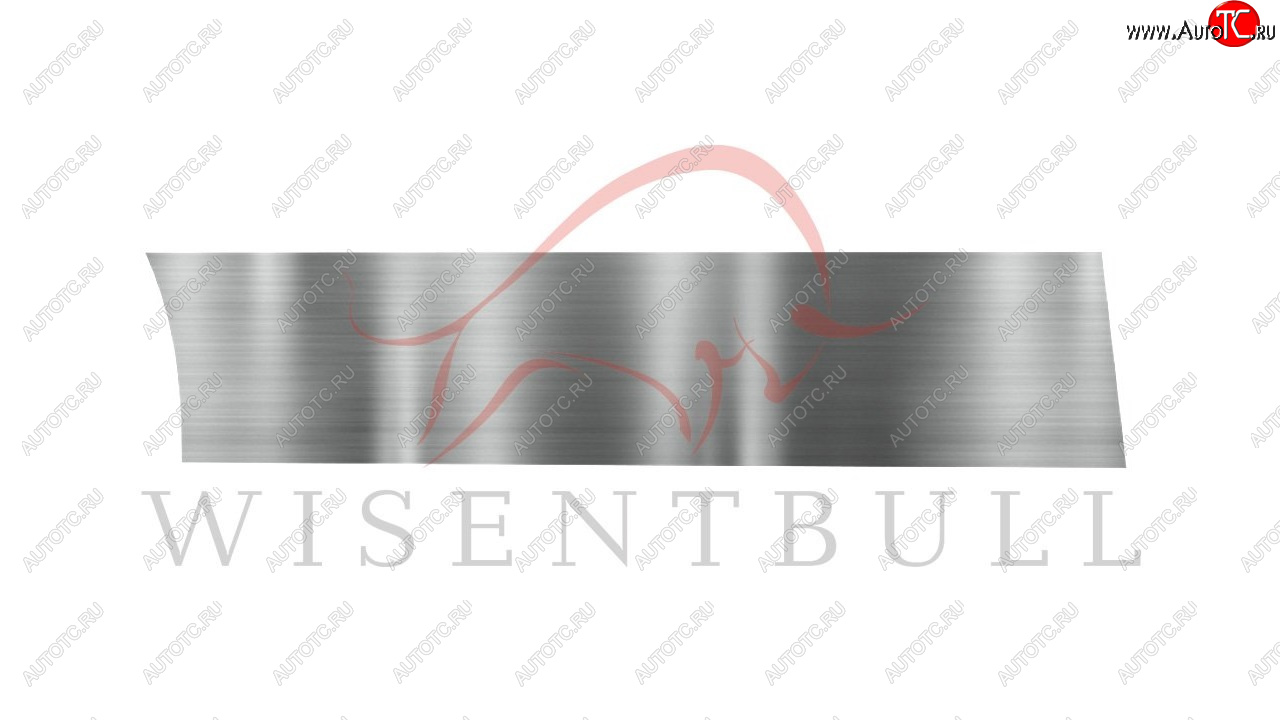 1 989 р. Ремкомплект правой двери Wisentbull  Ford Freestar (2003-2007)