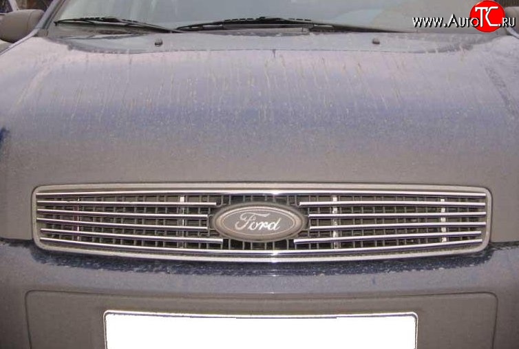 4 999 р. Декоративная вставка решетки радиатора Berkut Ford Fusion 1  рестайлинг, хэтчбэк (2005-2012)