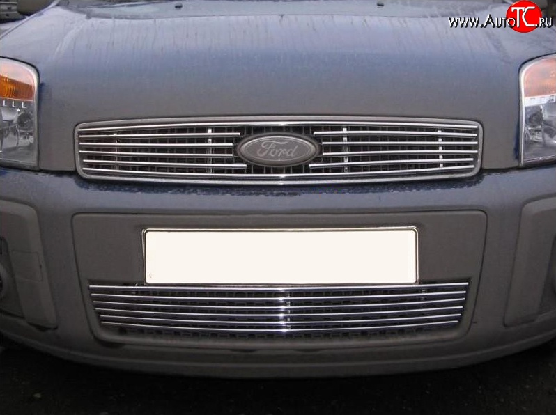 5 799 р. Декоративная вставка воздухозаборника Berkut Ford Fusion 1  рестайлинг, хэтчбэк (2005-2012)