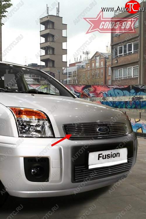 3 689 р. Декоративный элемент решетки радиатора Souz-96 (d10) Ford Fusion 1 хэтчбэк дорестайлинг (2002-2005)