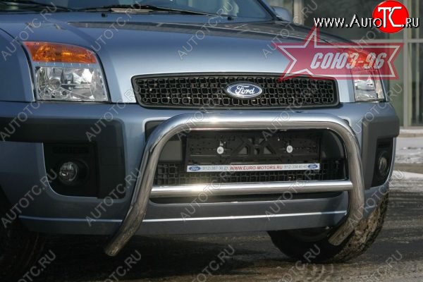 10 979 р. Защита переднего бампера Souz-96 (d60)  Ford Fusion  1 (2005-2012)