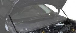2 199 р. Газовые упоры капота Berkut Ford Kuga 2 рестайлинг (2016-2019). Увеличить фотографию 1