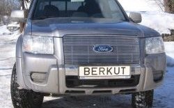8 999 р. Декоративная вставка решетки радиатора (рестайлинг) Berkut Ford Ranger 2 (2006-2009). Увеличить фотографию 1