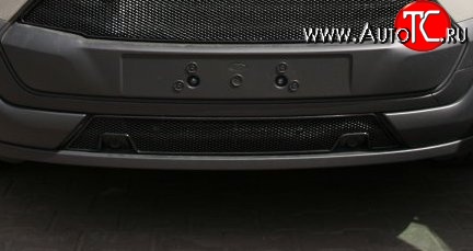 4 229 р. Сетка на бампер Novline Ford Tourneo Custom дорестайлинг (2012-2018)