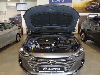 Упоры капота Russtal Hyundai Elantra AD дорестайлинг (2016-2019)