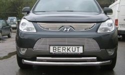4 799 р. Декоративная вставка решетки радиатора Berkut Hyundai IX55 (2008-2012). Увеличить фотографию 1