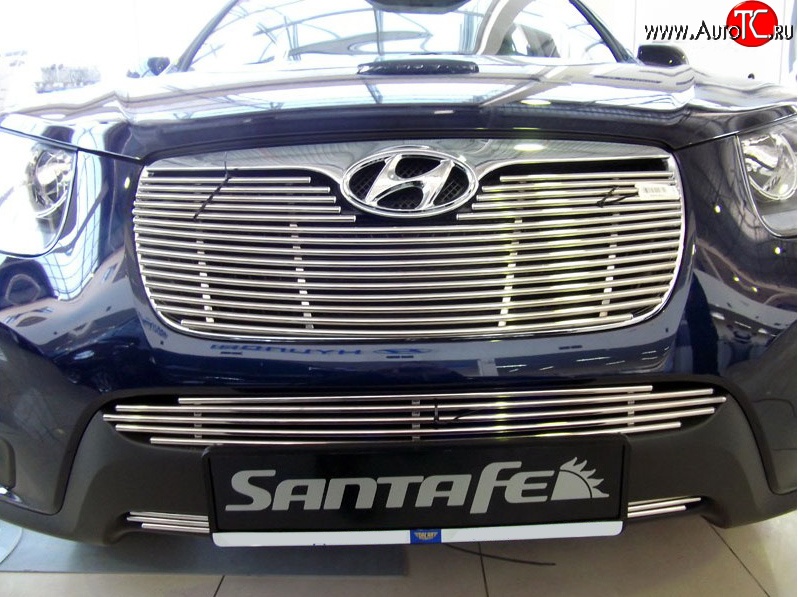 5 849 р. Декоративная вставка решетки радиатора Berkut (d10 мм) Hyundai Santa Fe 2 CM рестайлинг (2009-2012)