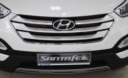 Сетка на бампер Russtal (черная) Hyundai Santa Fe 3 DM дорестайлинг (2012-2016)