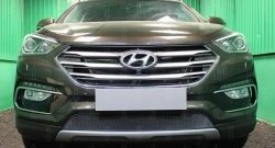 Защитная сетка на бампер Russtal Hyundai Santa Fe 3 DM рестайлинг (2015-2019)  (черная)
