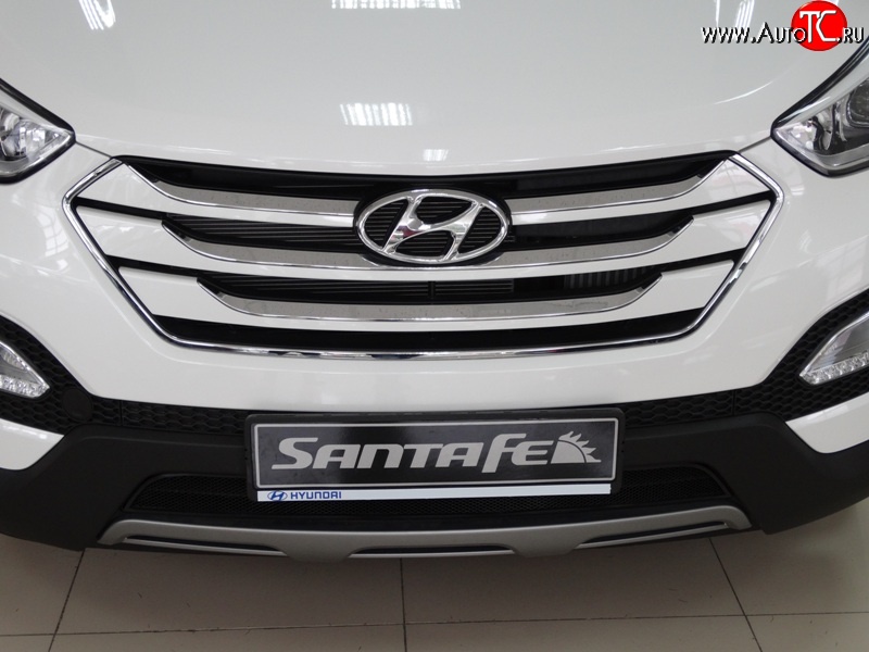 1 469 р. Сетка на бампер Russtal (черная)  Hyundai Santa Fe  3 DM (2012-2016)