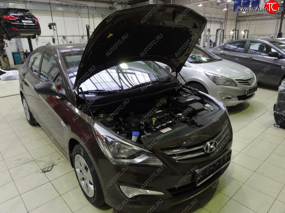 2 199 р. Газовые упоры капота Berkut  Hyundai Solaris  1 седан (2014-2017)