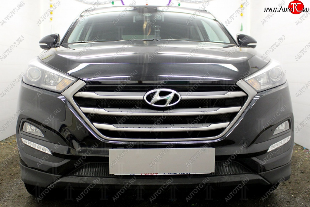 1 229 р. Защитная сетка на бампер Russtal (черная)  Hyundai Tucson  3 TL (2015-2018)