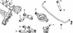 1 099 р. Полиуретановый сайлентблок нижнего рычага (под пружину) задней подвески Точка Опоры Nissan Pathfinder R51 рестайлинг (2009-2014). Увеличить фотографию 2