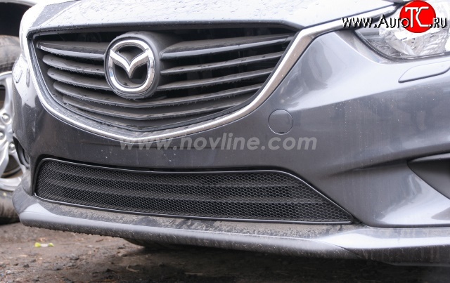 1 619 р. Сетка на бампер Novline Mazda 6 GJ дорестайлинг седан (2012-2015)