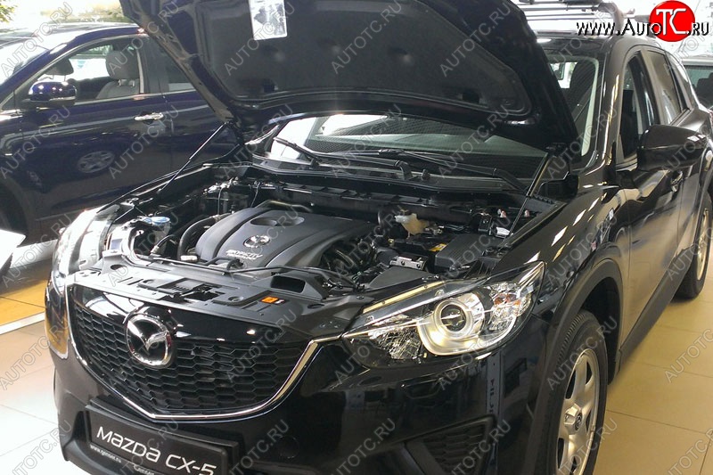2 199 р. Газовые упоры капота Berkut Mazda CX-5 KE рестайлинг (2015-2017)