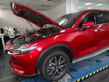 Упоры капота Russtal Mazda CX-5 KF (2016-2024)