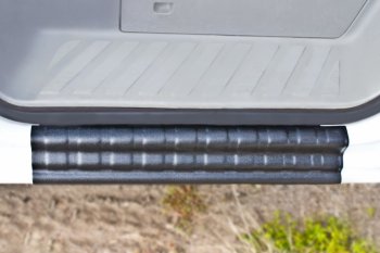 1 499 р. Накладка на внутренние пороги дверей RA  Mercedes-Benz Sprinter  W906 (2006-2013). Увеличить фотографию 3