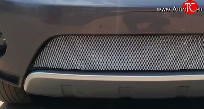 2 899 р. Сетка на бампер Russtal (хром)  Mitsubishi Outlander  XL (2005-2009)