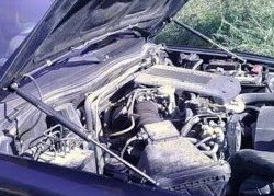 2 199 р. Газовые упоры капота Berkut  Mitsubishi Pajero  3 V70 (1999-2003). Увеличить фотографию 1