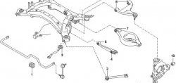 1 339 р. Полиуретановый сайлентблок нижнего поперечного рычага задней подвески Точка Опоры  Nissan Elgrand  2 (2002-2004). Увеличить фотографию 2