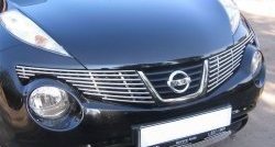 6 499 р. Декоративная вставка решетки радиатора Berkut  Nissan Juke  1 YF15 (2010-2014). Увеличить фотографию 1