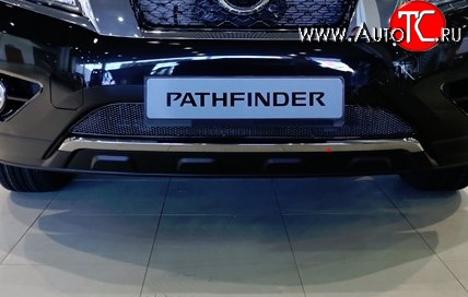 1 799 р. Сетка на бампер Novline  Nissan Pathfinder  R52 (2012-2017)