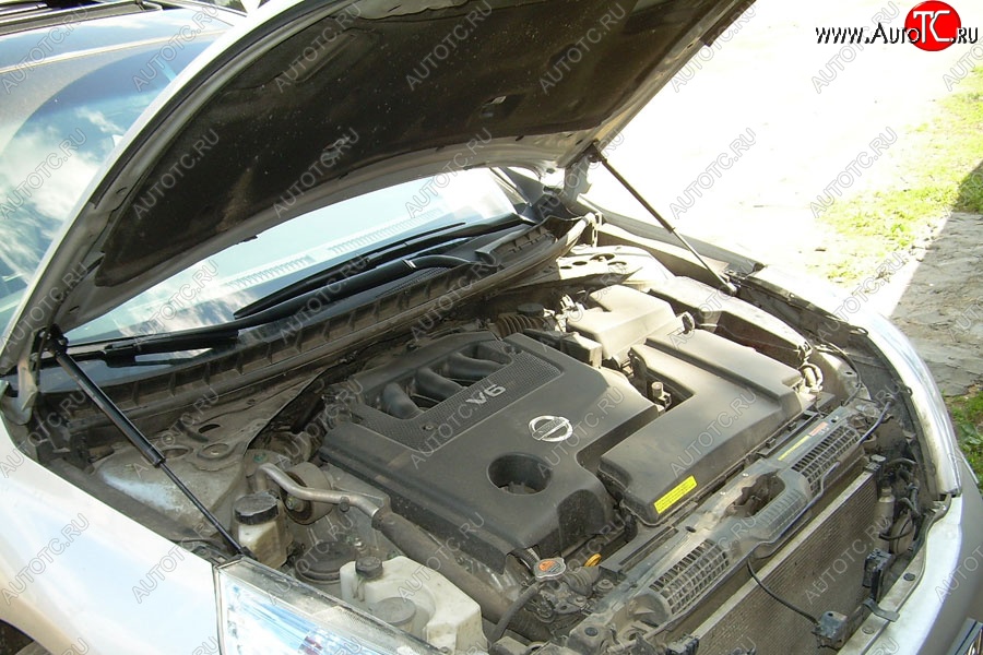 2 199 р. Газовые упоры капота Berkut Nissan Teana 2 J32 дорестайлинг (2008-2011)