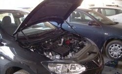 1 699 р. Газовые упоры капота Berkut Nissan Tiida 1 хэтчбек C11 рестайлинг (2010-2014). Увеличить фотографию 1