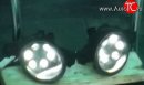 2 179 р. Разработка и создание уникальных дневных ходовых огней LED АвтоТК Nissan Patrol 5 Y61 дорестайлинг (1997-2001) (4 LED/модуль, Цвет свечения: холодный белый, Выключение ДХО при габаритах, Взамен ПТФ). Увеличить фотографию 5